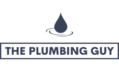 ذا بلامبينج جاي logo