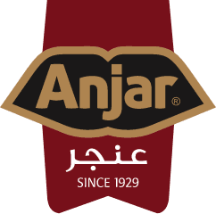 Domanco Foods logo