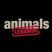 حيوانات لبنان logo