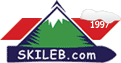 SKILEB logo