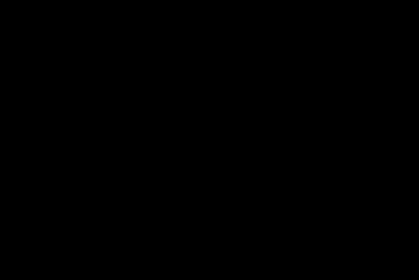 LACECO logo