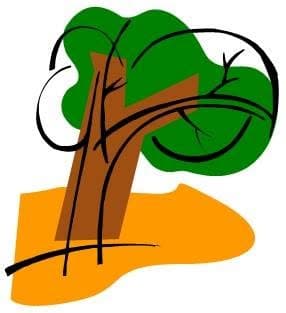 ذا باركيه - مسرة logo