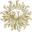 ليو بيرنت بيروت logo