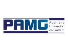 PAMG Audit & Financial Consultant logo