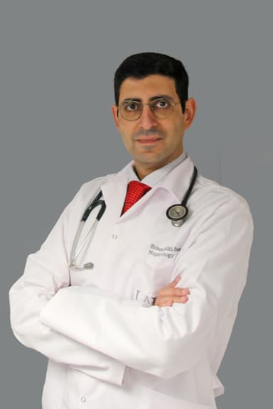 د. هشام شيخ حسن logo