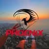 Paragliding Phoenix logo