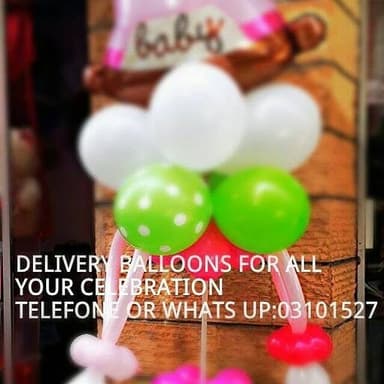 Balloons Delivery logo