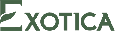 إكزوتيكا logo
