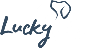لاكي بتس logo